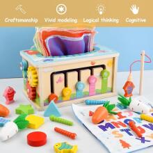 Focenat Montessori Wooden Toy 9-in-1 Art.241410    Montessori puidust pusle
