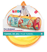LUDI fefe ƒe mɔ̃