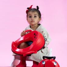 Nugododeƒe ƒe zikpui, Ladybug
