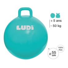 LUDI bɔl si le dzodzom, blɔ 55 cm