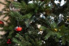Winteria Atsyɔ̃ɖoɖo Bullfinch 3 pcs