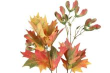 4Maple gbagbe ɖeka 75 cm