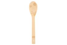 Winteria Dzodoƒenuzazãwo bambu 4 pcs