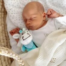 WOOPIE BABY Plush Sensory Fefewɔnu ƒe ɣlidodo