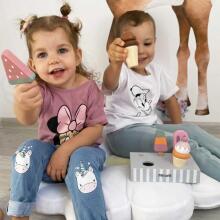 VIGA PolarB Ice Cream le Ati dzi kple Tsitrenu 5 pcs.