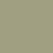 Baby stroller CARRELLO Atom S CRL-5526 Antique Green