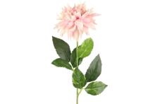 4Living Dahlia 58 cm assortii väljapanek