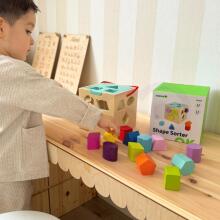 TOOKY TOY Puitmaterjalist kujundite sorteerimise värviline kuubik värviliste mustritega 13 tk