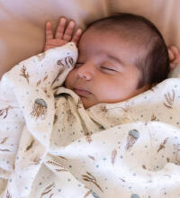 Aden Anais Muslin Swaddles Art.251318 Map The Star  High quality bamboo muslin swaddle, 1 pc. (120x120 cm)