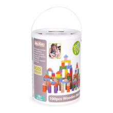 Puidust plokid lastele, 100 tükki, sorteerimispurk ECOTOYS