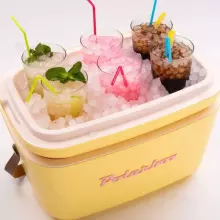 Polarbox Cool Box Retro Cooler Art.255940 Pop Yellow Camping Refrigerator 12L