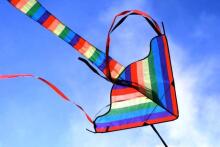 BebeBee Air Kite Art.473881