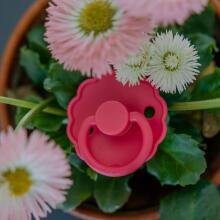 Frigg Daisy Round Latex Art.100458 Baby Pink/Soft lilac Pacifier (nipple) made of 100% natural rubber 0-6 months (2 pcs.)