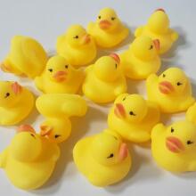 Quack-tastic Mini Tiny Duck Art.26419 Mini kummist pardid 4x3cm