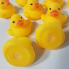 Quack-tastic Mini Tiny Duck Art.26419 Mini kummist pardid 4x3cm