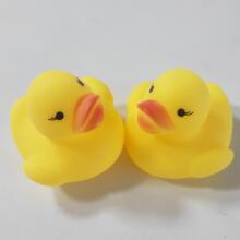 Quack-tastic Mini Tiny Duck Art.26419 Mini kummist pardid 4x3cm