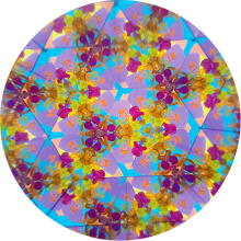 Svoora kaleidoscope, Kosmoss, 19 cm