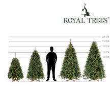 Tehisjõulupuu Springos CT0238, Siberi kuusk PE Premium, 240 cm