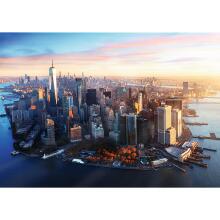 Pusle - "1000 Premium Plus" Manhattan, New York Trefl 10828