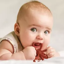Haakaa Silicone Teether Clover Art.TPS038-C  Silikoonist kõristi (100% looduslik)