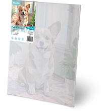 Numbrite maal 40x50 cm Massido Corgi koer