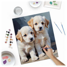 Numbrite maal 40x50 cm Massido kutsikad