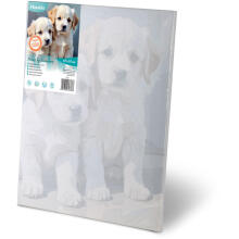 Numbrite maal 40x50 cm Massido kutsikad