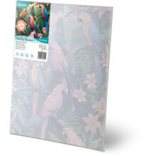 Numbrite maal 40x50 cm Massido papagoid