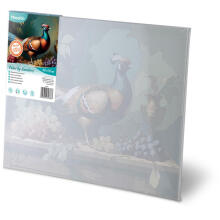 Numbrite maal 40x50 cm Massido faasan