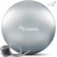 Raseduspall aeroobikaks 65 cm NS-951 hall