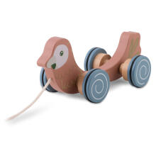 Puitpulli mänguasi Papagoi NK-854 Nukido