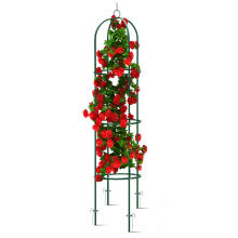 Aed pergola veerg 200 cm Plonos PL-992