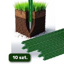 Taime toed 150 cm Plonos PL-940 roheline 10 tk