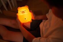 MARY'S MW61641 Hingav Karu Lamp LED