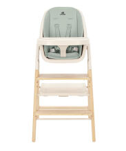 Beebi kõrge tool Carrello ERGO CRL-16701 Elora Green