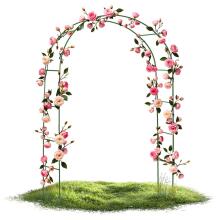 Aed Pergola Kaare 240 cm Plonos PL-990