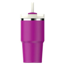 Termokruus k&otilde;rrega The Quencher H2.O FlowState Tumbler 0.59L lilla