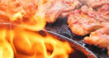 Natural Hardwood Charcoal Art.279740 Premium puusüsi Golden Flame 8L — ideaalne grillimiseks ja BBQ‑ks,2 kg