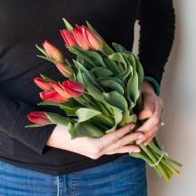 La Petit Fluer Art. LPT-TR51 Fresh Red tulips 51 psc