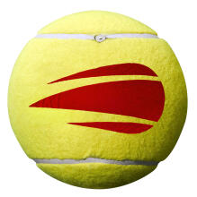WILSON MINI JUMBO PALL 5’’