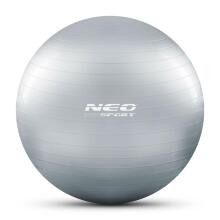 75 cm Treeningpall NS-952 Hõbedane