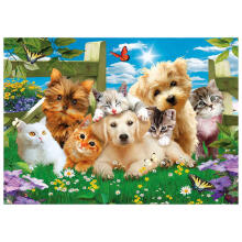 Daimond Mosaic - 47388 - KUTSID JA KASSID - suurus 30x40 cm