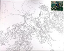 Numbrite järgi maalimine - 50593 - LINDUD HARUL - suurus 40x50 cm