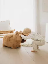 Wild&Soft Soft Bouncy Art.287135 Capybara Laste džemprid