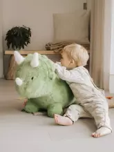 Wild&Soft Soft Bouncy Art.287136 Dino Laste džemprid