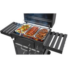 Berdsen BD-893 Süsi Grill