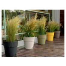 Lillepott alusega Ethica &Oslash;40x39cm hall
