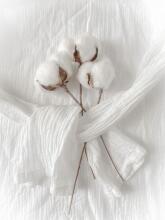 Bebe Basic Muslin Art. 076 Cotton muslin gauze swaddle 1 pc, 80x80 cm