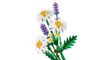 LEGO Botanicals Daisies