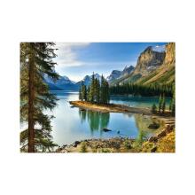 Dino pusle 1000 tk Maligne Lake